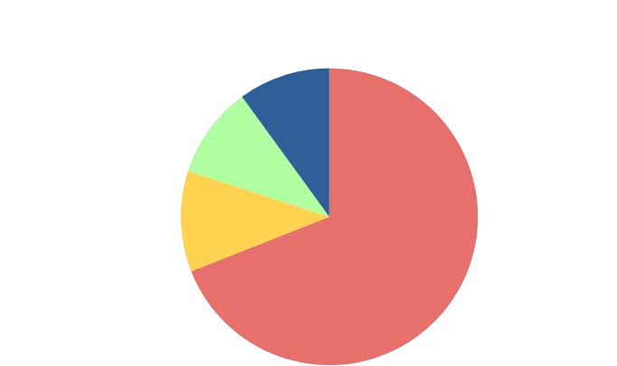 Token allocation pie chart